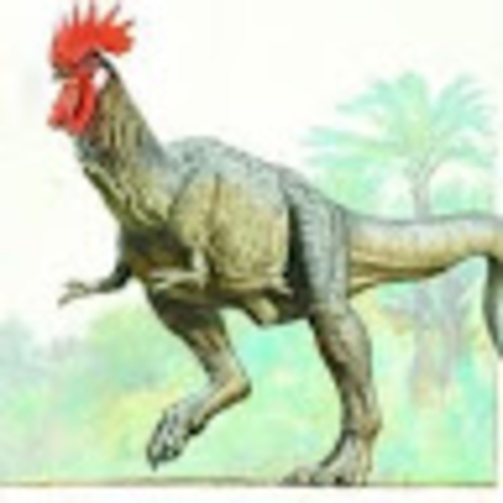 Meet your Posher, Chrissy